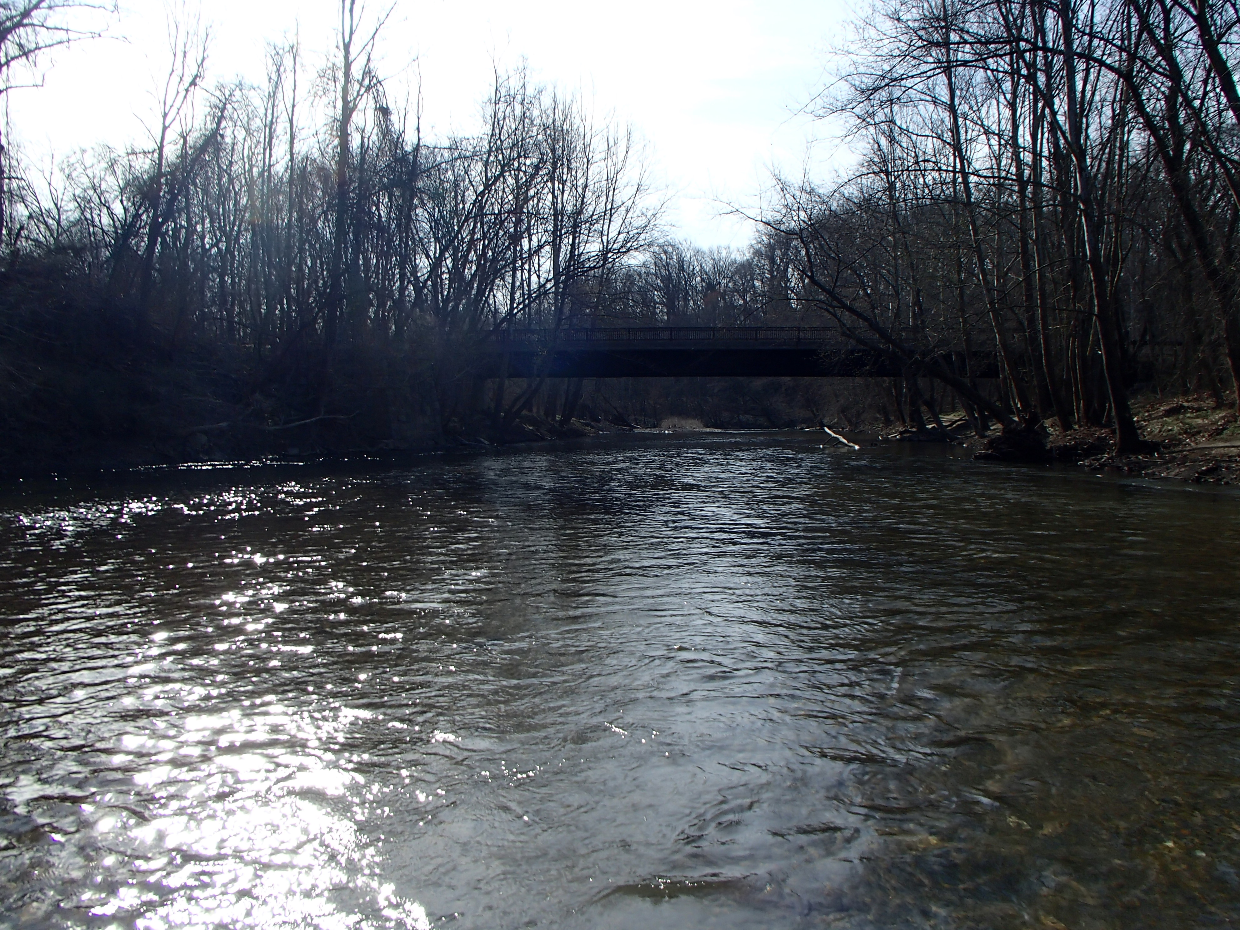 Field photo showing stream conditions at site PATL-B04-X-2016_midpoint looking downstream